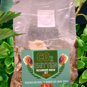 CO2 EMIITTING REISHI GROW BAG (for tent garden set ups)